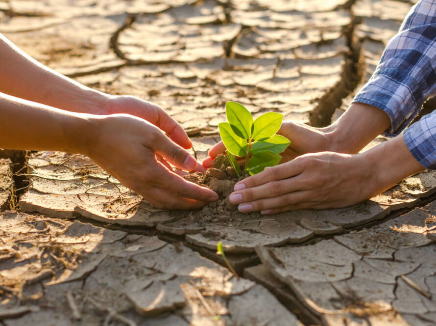 Ley-de-cambio-climatico-y-transicion-energetica.-Spin-Ingenieros